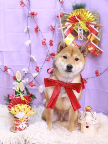 20230126むぎくん